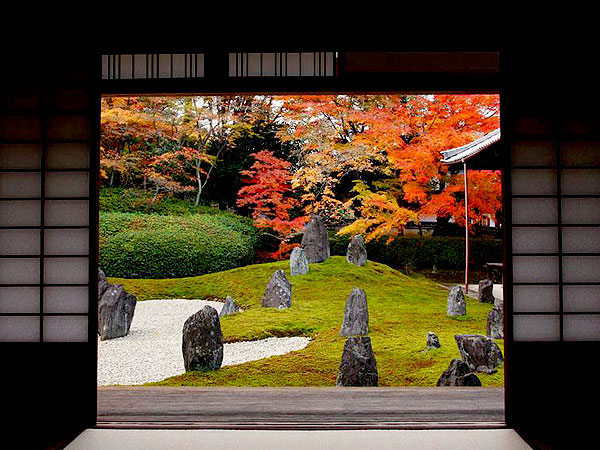 【東福寺】三浦が贈る、秋の欲張り三連発！圧巻の名所から穴場まで～樹齢900年！京都一の巨木、真っ赤な渓谷、虹の苔寺・重森三玲の芸術庭園～