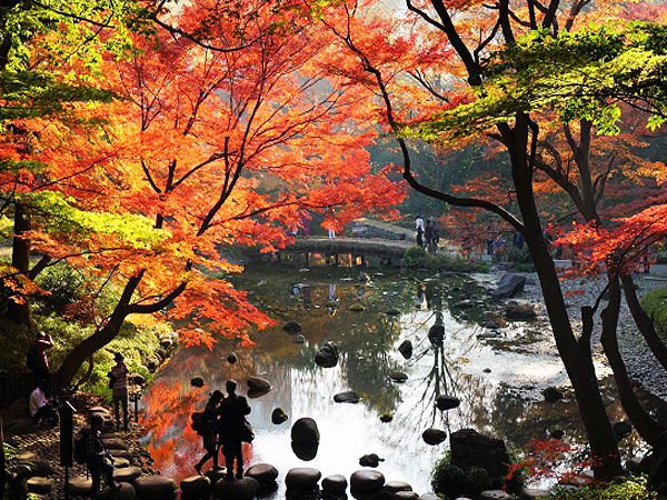【小石川後楽園】紅葉が包む水戸黄門の大庭園、庭師と巡る江戸の庭園美～嵐山・西湖の堤・田園の里…日本と中国の名景をドラマチックに詰め込んだ！～