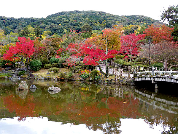 【円山公園】庭師といく、七代目植治が手掛けた京都最古の都市公園～名庭に秘められた庭師の思い、再整備プロジェクトの現場と石造物めぐり～