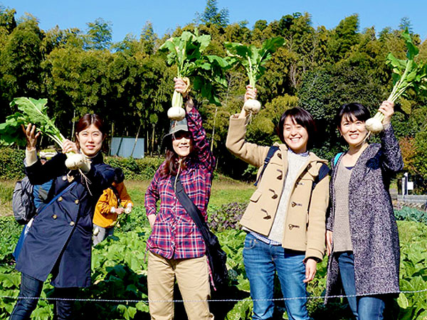 【大原野】採れたて京野菜でアツアツ地鶏鍋、大原野の旬を食べる！～柴喜農園で収穫体験、紅葉の名所・大原野神社でLet’s鍋パーティ～