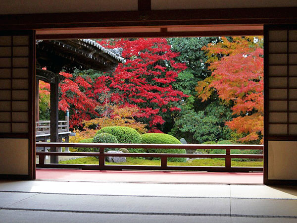 【小野】錦秋に染まる恋の里、小町伝説の随心院から苔庭の勧修寺まで～平安時代のシンデレラ物語、今も残る悲恋の榧の樹をたどって～