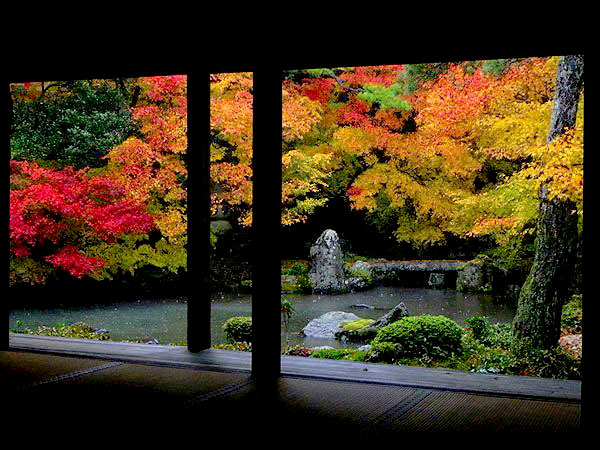 【三宅八幡】上高野・穴場の紅葉めぐり、静けさに包まれる紅葉絵巻～額縁庭園の蓮華寺、神鳩が迎える三宅八幡宮、知る人ぞ知る三明院～
