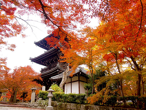 【真如堂】深紅に染まる錦秋の古寺巡礼、最も美しい紅葉を探して～偽りなき極楽・真如堂、城構えの巨刹・黒谷さん、猿づくしの日吉神社まで～