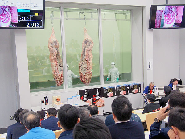 【中央食肉市場】新オープン！お肉博士と、食肉市場を探検しよう～模擬せり体験、お肉の見分け方レクチャー、生きた牛が食肉になるまで～