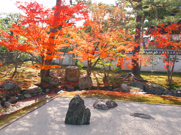 【相国寺】穴場の紅葉・庭園めぐり、吉村がこっそりご案内～秋だけに開かれる枯山水、とっておき秘密の庭園、絶品の秋景色を探して～