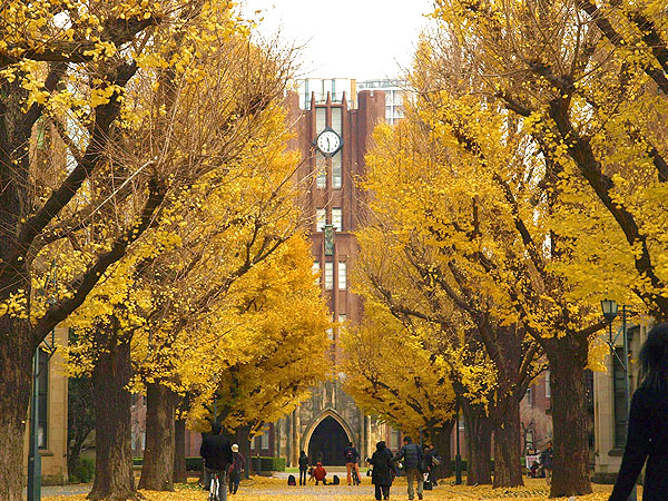 【本郷台地】都市史研究者といく文京カルチェラタン、東大・建築・坂道めぐり～文豪が暮らした路地、渓谷の商店街、戦災を免れた旧家連なる高台へ～
