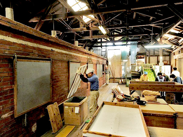 【TV放送記念・宇治後編】タモリさんを案内したガイドと、天下一の茶どころへ～御茶師のまちへの大転換！茶園・茶工場を拝見、薫り高き宇治茶をいただく～