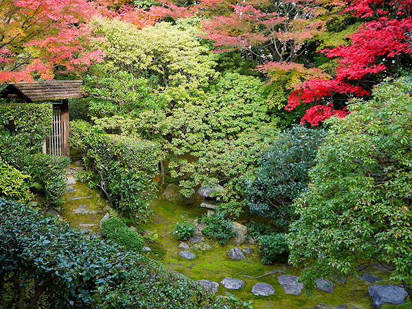 【枯山水】一から学ぶ枯山水、庭園デザイナーと禅が生んだ5つの名庭へ〜見方・法則・時代性、室町時代の傑作から通常非公開・重森三玲の茶室まで～