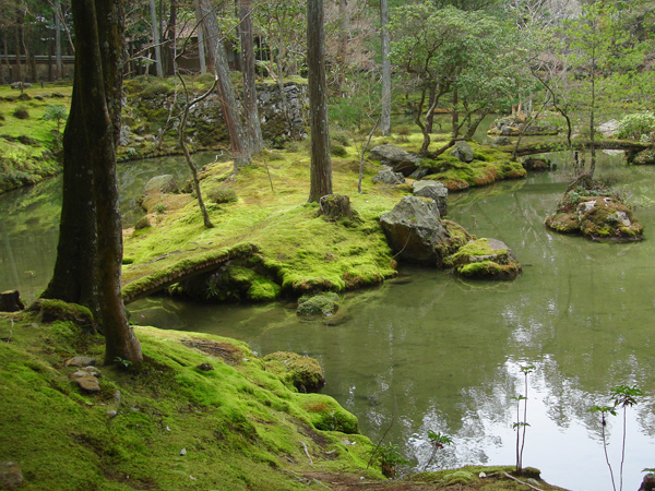 【まいまい大学・庭園Ⅱ】一から学ぶ日本庭園、美と思想が凝縮された深淵の世界に迫る～見方・法則・時代性、庭師と極上の名庭を見比べながら～