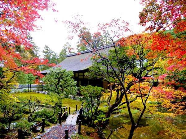 【南禅寺奥の院】御用庭師といく神仙佳境の霊地、紅葉が包む南禅寺の最奥へ～秋色の南禅院、巨岩そそり立つ駒ヶ滝、名景に秘められた庭師の思い～