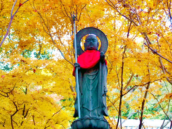 【八幡】紅葉の隠れ古寺と神仏習合の古仏たち、ゆるり八幡さんぽ～石清水八幡宮のご本尊！？深紅に染まる紅葉寺、落書き大歓迎のお寺まで～