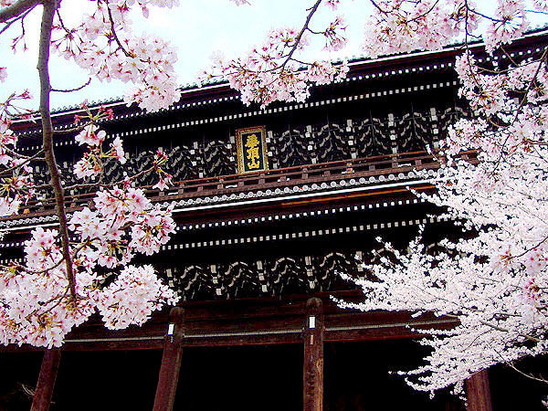 【知恩院】本山僧侶と特別拝観！非公開の大方丈、経蔵、大鐘楼へ～狩野派絵画が荘厳する洛中随一の名書院、浄土宗総本山の大伽藍めぐり～