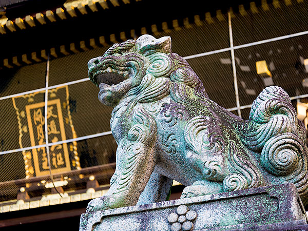 【北野天満宮】狛犬研究者と京都一の狛犬メッカへ！個性派揃い、神牛＆狛犬進化論～ルーツはライオン！？進化するほど可愛くなる、長州生まれから京石工の傑作まで～