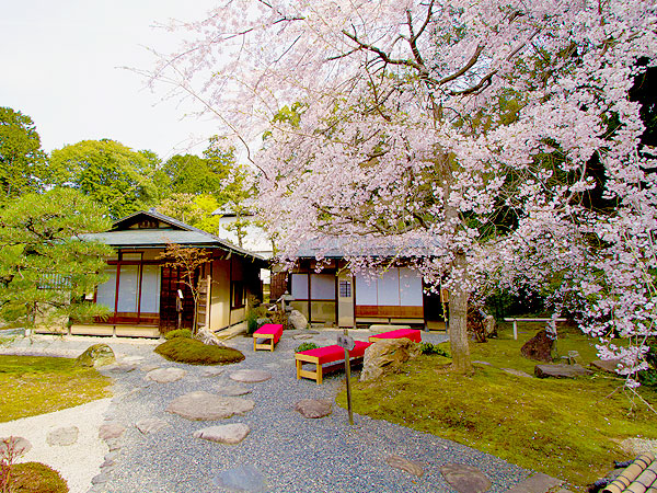 【くろ谷】御用庭師と巡る金戒光明寺、通常非公開の大方丈・庭園を拝見～枯山水の砂紋引、剪定実演、名庭の美を紡ぐ技と心に迫る～