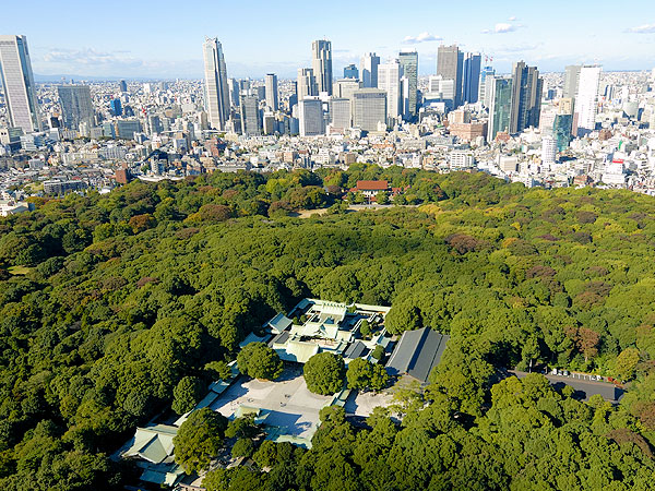【明治神宮】主任研究員＆神職といく、永遠の杜をつくる巨大プロジェクト～100年前の夢は実現したのか！？森の設計図を読み解きながら～