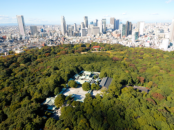 【明治神宮】林学博士とめぐる明治神宮、永遠の杜をつくる巨大プロジェクト～100年前の夢「永久ニ荘厳神聖ナル林相」はどうなった！？森の設計図を解く～