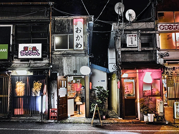 【洲崎遊郭】遊廓専門店主といく帝都第二の旧遊郭、洲崎パラダイス～吉原を優に超えた巨大遊郭の痕跡、東京の裏面史をたずねて～