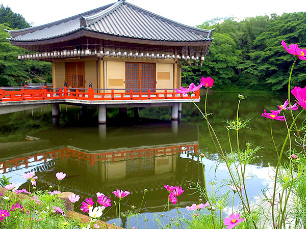 【安倍文殊院】仏像ナビゲーターと、天才仏師・快慶の文殊五尊像じっくり拝観～圧巻7m超え、獅子に乗り雲海を渡る美仏たち！日本最古級の古刹へ～