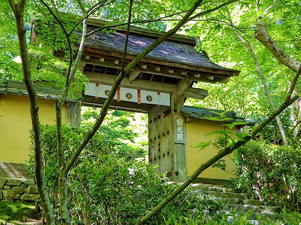 【大原寂光院】平家物語・最後の舞台、大原の奥にたたずむ隠れ里をいく ～諸行無常の鐘楼、汀の池、悲哀の建礼門院が過ごした静寂の花園へ～