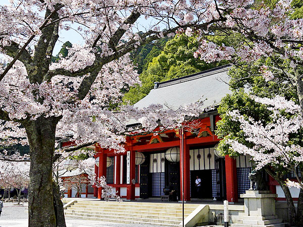 【鞍馬寺】雲珠桜が染める神秘の古刹、暗闇の奥に祀られた魔王尊を拝観～金星から降り立った永遠の16歳！？天狗跳び虎が護る古刹、国宝毘沙門天まで～