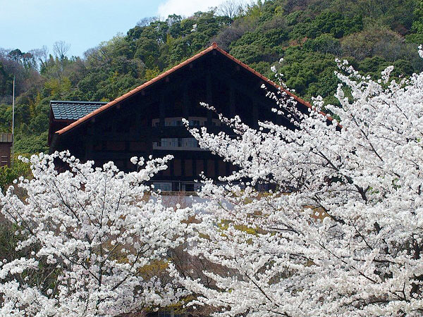 【大山崎】眼下に広がる桜パノラマ、天王山に佇む英国式洋館「大山崎山荘」へ～関大明神、離宮八幡宮、睡蓮の池…風光明媚に惹かれた山荘と桜めぐり～