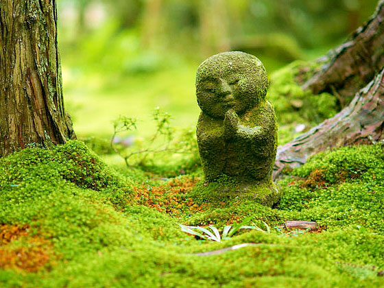 【大原三千院】苔に覆われた“東洋の宝石箱”、金色に輝く国宝三尊を拝観 ～平安時代の阿弥陀堂、山里に眠る悲劇の帝、緑に包まれる山里さんぽ～
