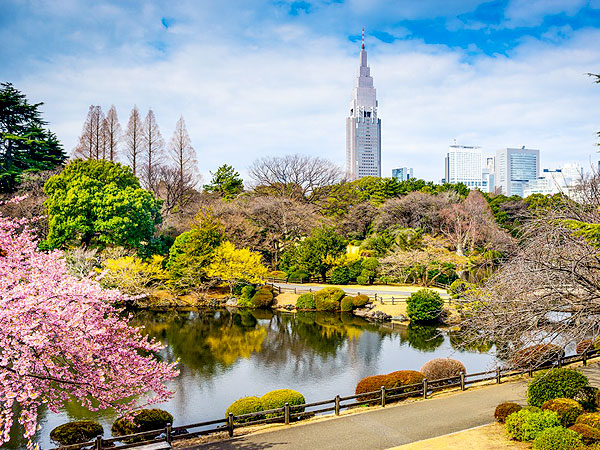 【新宿御苑】春色に染まる日本初の皇室庭園、庭師と新宿御苑さんぽ～江戸の池泉式・英国式・フランス式庭園の巧みな融合、都心に広がる巨樹の森～