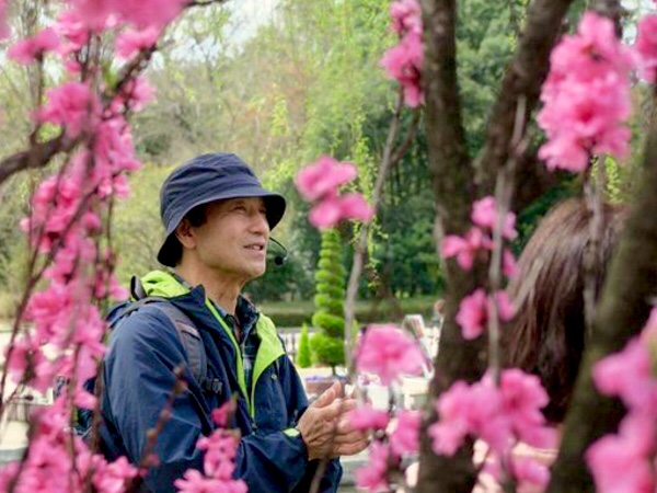 【京都府立植物園】桜花爛漫！名誉園長・松谷さんとめぐる、日本一の植物園～世界中の植物が大集結！植物園を支える舞台裏と、愛しき春の植物たち～