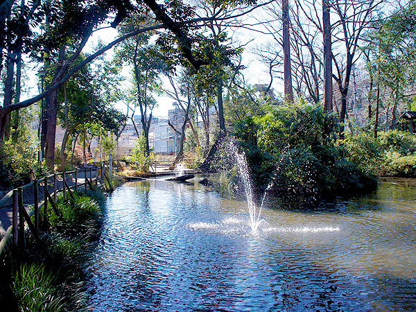 【高田馬場】東京スリバチ学会凹凸ツアー！目白崖線に刻まれた謎のスリバチ群～川が落ち合う「落合」はどこ！？目白文化村・大正のアトリエ建築を拝見～