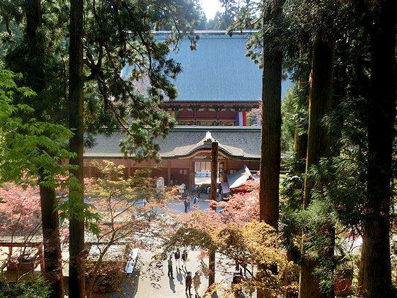 【比叡山】森の案内人と桜の比叡山トレッキング☆「森の母」に会いにいこう ～日本仏教の聖地・霊峰比叡！雲母坂から延暦寺、表参道を下って日吉大社まで～