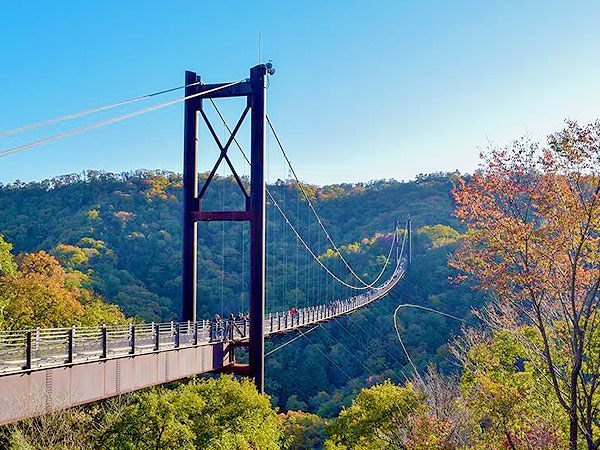 【星のブランコ】森の案内人と新緑の絶景へ☆日本最大級の吊り橋をいく～パノラマ空中散歩、天孫降臨の神話、七夕伝説・天の川を渡る～