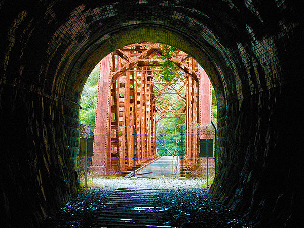 【旧福知山線】廃線マニアと旧福知山線ハイキング☆新緑の武庫川渓谷へ～朽ち果てた鉄橋、掘りかけのトンネル、枕木が続く美しい線路跡～