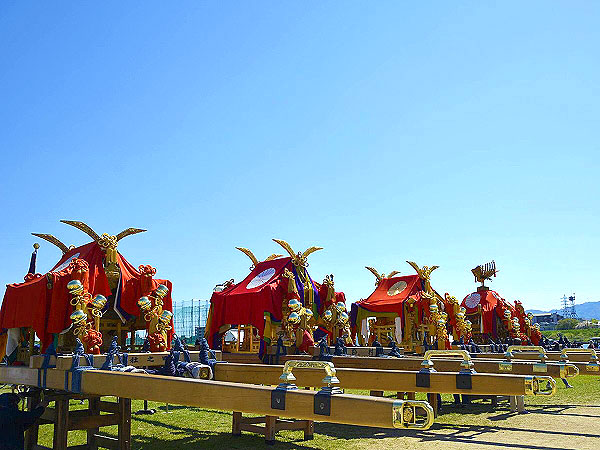 【松尾祭】六基の神輿が桂川を渡る！松尾祭のハイライト「船渡御」へ～勇壮でおおらか、王朝時代より続く松尾の神幸祭～