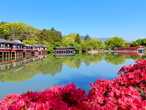 【長岡天満宮】迫り来る圧巻の霧島ツツジ！美しい竹林が続く竹の子の里へ～参道が真っ赤に染まる長岡天満宮、朝堀り筍の軒売り、迫力の金剛力士まで～