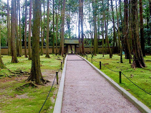 【奈良西ノ京】奈良の凸凹・古寺巡礼！平城京右京に連なる古代巨大寺院へ～西大寺、喜光寺、唐招提寺…奈良に訪れた時代の転回点～