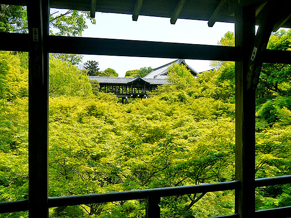 【東福寺】庭師とめぐる東福寺、青もみじの大海を渡る～三浦が贈るマイベスト新緑、相対する池泉式庭園と枯山水～