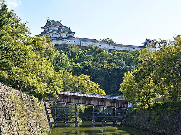 【和歌山城】徳川御三家の巨城＆城下町へ！松浦さんと「和歌山城」徹底攻略ツアー～豊臣家が築いた青石の石垣、日本三大連立式天守、城郭に作られた屈指の名園～