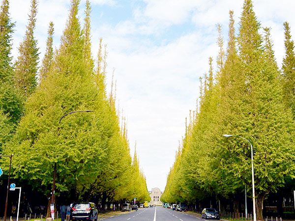 【東京オリンピック】境界協会と神宮外苑へ！東京五輪を境界と地形で解き明かせ～徳川一族と幻の五輪、谷底の境界公園、魅惑のトリプルジャンクションへ～