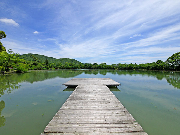 【奥嵯峨】気功師といく奥嵯峨・秘密のパワースポット、普段は非公開「厭離庵」へ～のどかな田園と大沢池、地下水脈が織り成す秘境の庵、氣の変化を感じながら～