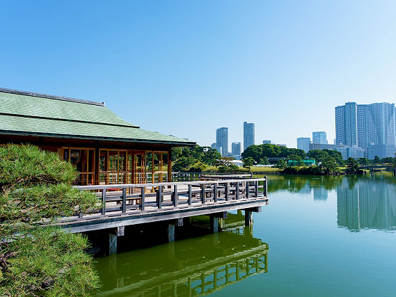 【浜離宮・芝離宮】庭師といく2つの汐入庭園、将軍が暮らした海際の別邸～太古から生き残った巨樹、水上の茶室、潮の満ち引きに変化する海岸の庭園美～