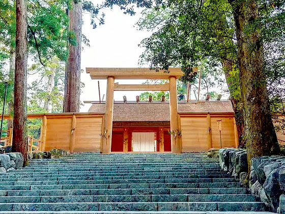 【伊勢神宮】千古の森に包まれる日本一の聖地、森の案内人とお伊勢初詣ツアー！～外宮と古市旧遊郭、早朝の内宮参拝、深い森に鎮まる世界一古くて新しいもの～