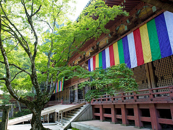 【比叡山】最澄が開いた日本仏教の母山、森の案内人と延暦寺三塔巡礼ツアー～無数の「谷」が構成する山岳宗教都市、根本中堂から最澄「衣の森」をいく～