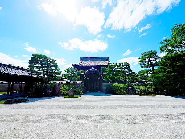 【建仁寺】庭師とマガキの森から建仁寺へ、まちなか植物ウォッチング～街中に残る平安貴公子の森！？幽玄な茶庭、石組が渦巻く枯山水まで～