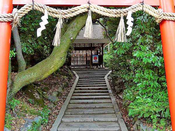 【西賀茂】地形でたどる古代の信仰、秋の洛北・穴場の古刹めぐり～ガイド宅に平安京の瓦！なぜ鷹ヶ峯に賀茂川の石が！？泉湧く神聖な台地へ～