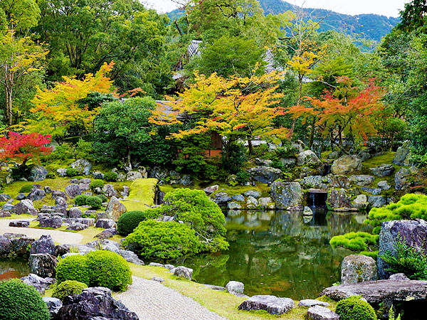 【サロン限定】烏賀陽さんと醍醐寺特別拝観！7年ぶり公開の理性院＆三宝院へ～絢爛豪華な覇者の庭！天下の名石「藤戸石」から狩野探幽の障壁画まで～