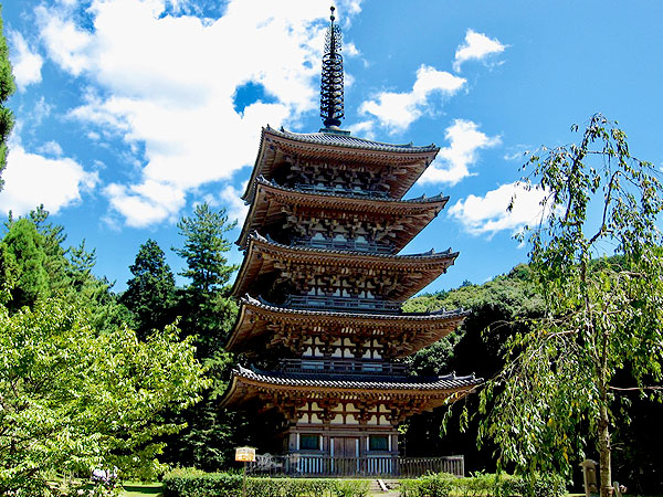【醍醐寺】山全体に80もの堂宇が立ち並ぶ！森の案内人と総本山醍醐寺へ～日本一美しい五重塔、絢爛豪華な覇者の庭、山上の国宝建築群まで～