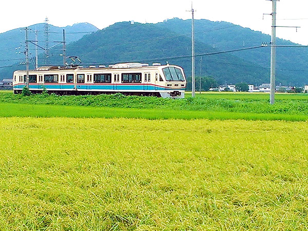 【近江鉄道】“がちゃこん電車”に乗って、秋の湖国ぶらり途中下車の旅 ～レトロな駅舎と風光明媚、明治生まれの愛しきオンボロ鉄道～