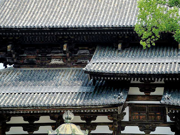 【東寺】おもしろ伽藍進化論！建築史学者と、1200年のダイナミックな変遷を追う～受け継がれる「寝殿造」、豊臣の代表的桃山建築、華麗すぎる「亀岡式」まで～