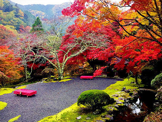 【白龍園】まさに秘境の美しさ、庭園デザイナーと限定公開・紅葉の白龍園へ～山まるごとを取り込み、20年以上かけて作庭された二ノ瀬の霊域～