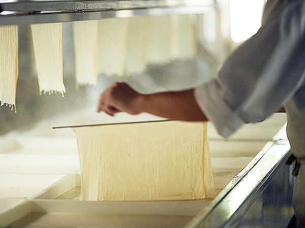 ※中止【松山閣】仁和寺の奥山に佇む料亭へ、当主がもてなす桜のゆば尽くし会～ゆば汲み上げ体験、できたて湯葉と野点茶会、7万坪の絶景が春色に染まる～